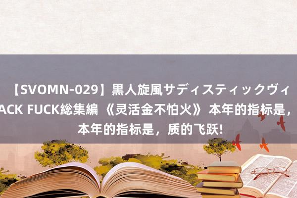 【SVOMN-029】黒人旋風サディスティックヴィレッジBLACK FUCK総集編 《灵活金不怕火》 本年的指标是，质的飞跃!