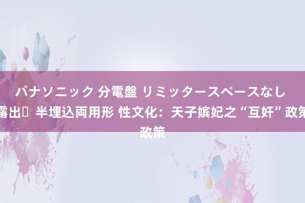 パナソニック 分電盤 リミッタースペースなし 露出・半埋込両用形 性文化：天子嫔妃之“互奸”政策